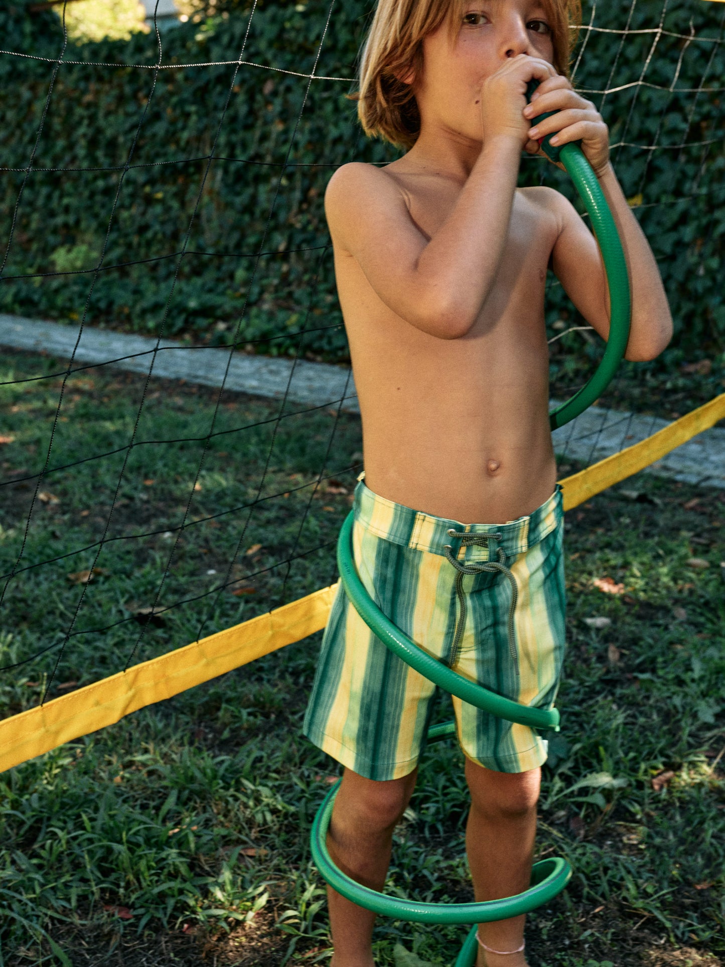 PICCOLO | LIMONCELLO