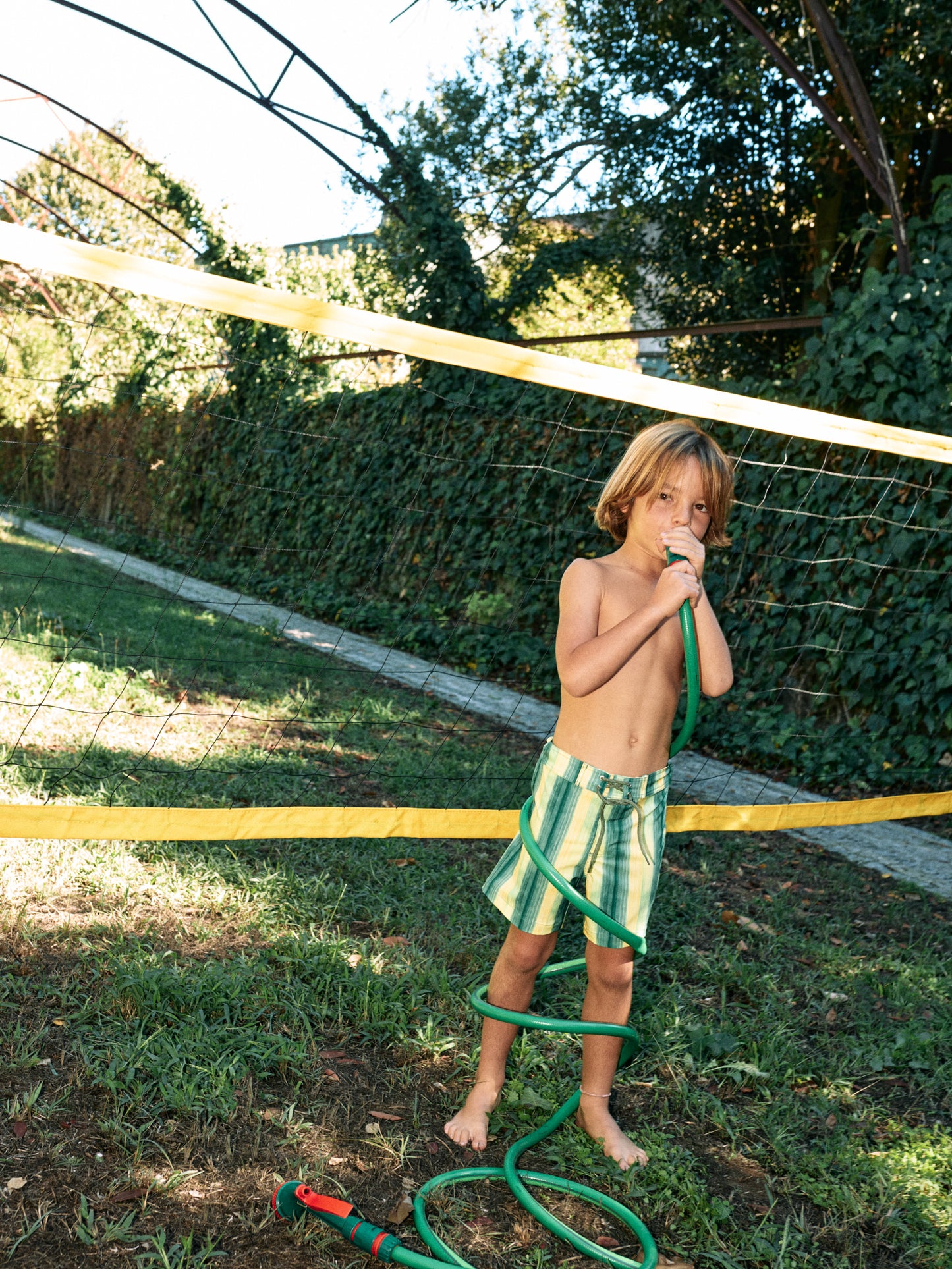 PICCOLO | LIMONCELLO